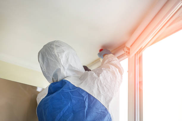 Why You Should Choose Our Mold Remediation Services in Pablo, MT